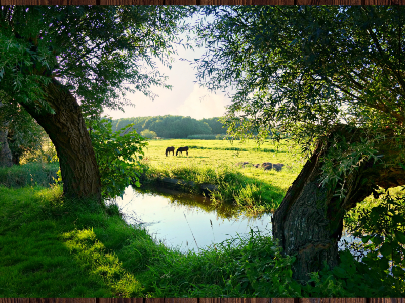 Riders in the Fields of Grass: A Military&nbsp;Anthem